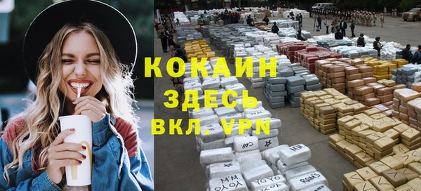 стафф Алексин
