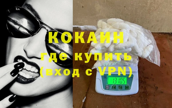 стафф Алексин