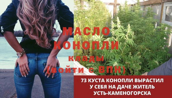 стафф Алексин