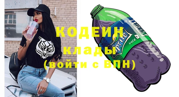 apvp Алзамай