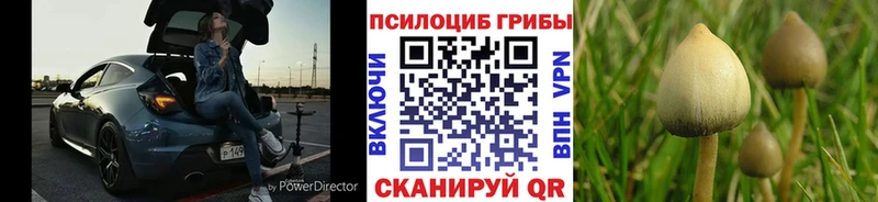 Галлюциногенные грибы MAGIC MUSHROOMS  Зея 